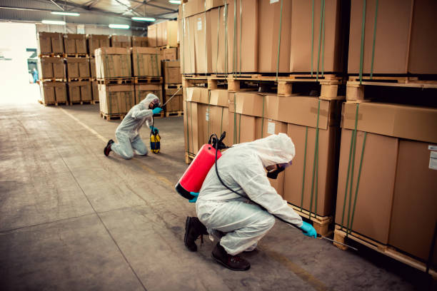 Best Affordable Pest Control Services  in Lake Arrowhead, CA