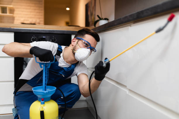 Best Residential Pest Control  in Lake Arrowhead, CA