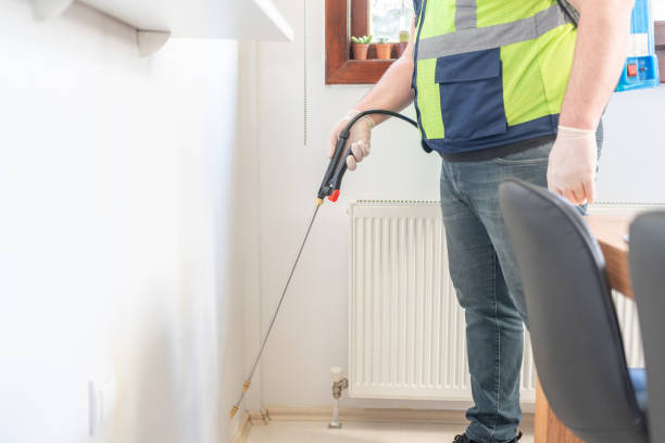 Best Affordable Pest Control Services  in Lake Arrowhead, CA